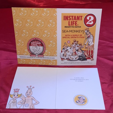 Instant Life - “Looks like congratulations are in order!”