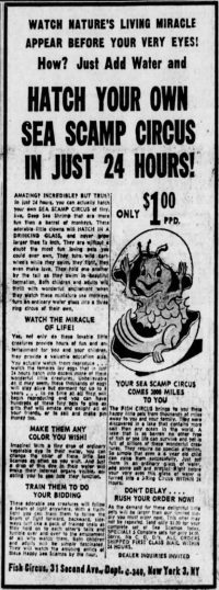 Des Moines Sunday Register (October 28th, 1962)